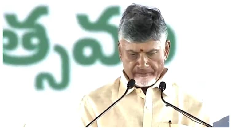 chandrababu naidu oath ceremony 24 leaders including Pawan Kalyan Nara Lokesh See List Chandrababu Naidu Oath Ceremony: आंध्र प्रदेश की NDA सरकार में कितने मुस्लिम मंत्री, यहां देखें पूरी लिस्ट