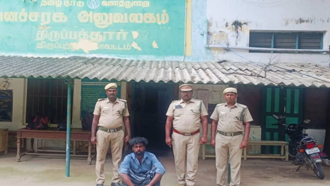அதிர்ச்சி வீடியோ; பாம்பை கொன்று கறியாக்கி சாப்பிட்ட வாலிபர் - எப்படி மாட்டினார் தெரியுமா?