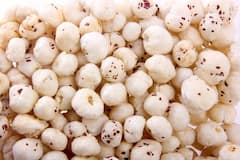 Makhana Kheer Recipe: इस तरीके से बनाएं मखाने की खीर, स्वाद के साथ सेहत के लिए भी है रामबाण