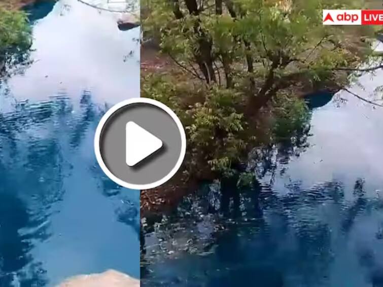 viral video blue coloured water flows in dharashiv after heavy rain Video: ਭਾਰੀ ਮੀਂਹ ਤੋਂ ਬਾਅਦ ਰਹੱਸਮਈ ਢੰਗ ਨਾਲ ਵਹਿਣ ਲੱਗਾ ਨੀਲਾ ਪਾਣੀ, ਵੀਡੀਓ ਹੋਇਆ ਵਾਇਰਲ