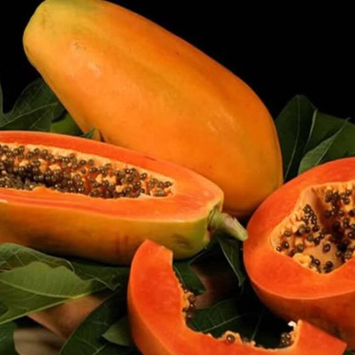 Papaya Benefits : ਮਿੱਠਾ ਸਵਾਦ ਵਾਲਾ ਪਪੀਤਾ ਮੂੰਹ ਵਿੱਚ ਜਾਂਦੇ ਹੀ ਪਿਘਲ ਜਾਂਦਾ ਹੈ। ਸੁਆਦੀ ਹੋਣ ਦੇ ਨਾਲ-ਨਾਲ ਇਹ ਪੌਸ਼ਟਿਕਤਾ ਦਾ ਖਜ਼ਾਨਾ ਵੀ ਹੈ ਜੋ ਤੁਹਾਡੀ ਸਿਹਤ ਨੂੰ ਸਿਰਫ਼ ਇੱਕ ਨਹੀਂ ਸਗੋਂ ਕਈ ਫਾਇਦੇ ਪ੍ਰਦਾਨ ਕਰਦਾ ਹੈ।