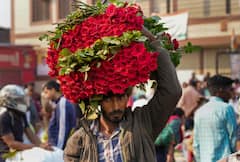 National Rose Day: આ રાજ્યમાં થાય છે ગુલાબની સૌથી વધારે ખેતી, વિદેશોમાં પણ મહેકી રહ્યું છે ભારત