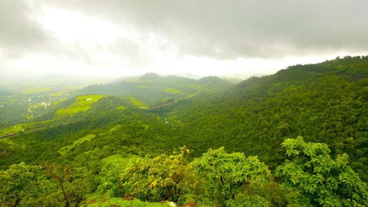 Travel : ठाणे, मुंबईकरांनो पावसात मनमुराद जगा! शहराचा गोंगाट, गर्दीपासून दूर ठाण्यातील 'ही' ठिकाणं माहित आहेत? एकदा पाहाच..