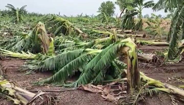 द्यापही प्रशासनाच्या वतीने कोणत्याही प्रकारचे पंचनामे केले नाहीत. यामुळं शेतकऱ्यांमध्ये नाराजी पसरली आहे.