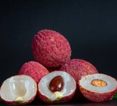 Litchi: ਬਲੱਡ ਸ਼ੂਗਰ ਦੇ ਪੱਧਰ ਨੂੰ ਸਹੀ ਕਰਨ ਤੋਂ ਲੈ ਕੇ ਸਕਿਨ ਤੱਕ ਫਾਇਦੇਮੰਦ ਹੈ ਲੀਚੀ ਦੀਆਂ ਗੁੱਠਲੀਆਂ, ਜਾਣੋ ਸੇਵਨ ਕਰਨ ਦਾ ਢੰਗ