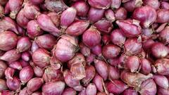 Kitchen Tips:வெங்காயத்தை நீண்ட நாட்கள் கெட்டுப்போகாமல் இருக்க என்ன வழி? இதோ டிப்ஸ்!