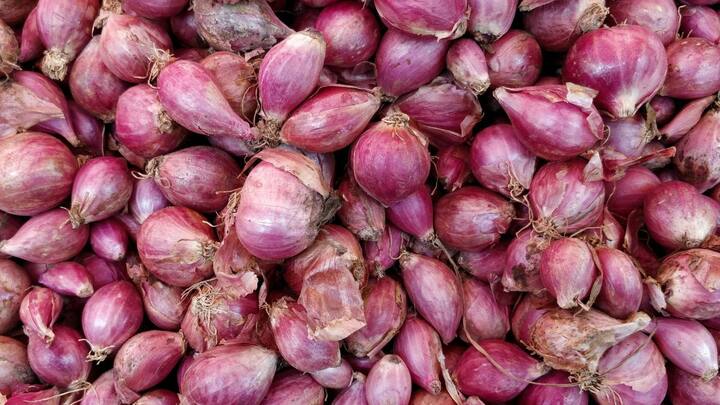 வெங்காயத்தை சேமிப்பதன் முதல் விதி, அவற்றை 12 முதல் 17 டிகிரி தட்பவெப்பத்தில் சுத்தமான, இருண்ட மற்றும் உலர்ந்த இடத்தில் வைக்க வேண்டும். வெங்காயத்தை நல்ல காற்றோட்டத்துடன் உலர்ந்த இடத்தில் சேமித்து வைப்பது புத்துணர்ச்சியுடன் இருக்க உதவும்.வெங்காயம் மற்றும் உருளைக்கிழங்கை ஒருபோதும் ஒன்றாகச் சேமிக்க வேண்டாம், அது வெங்காயம் கெட்டுப்போவதை துரிதப்படுத்தும்.