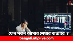 ২০২৫ সালেই বড় পতন শেয়ার বাজারে ! সতর্ক করলেন এই অর্থনীতিবিদ