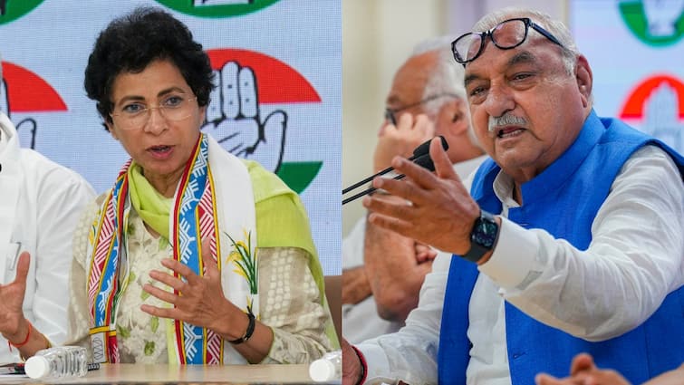 Congress MP Kumari Selja Targets On bhupinder singh hooda said if proper feedback given to party could won Haryana 10 Lok Sabha seats हरियाणा कांग्रेस में सबकुछ ठीक नहीं? कुमारी सैलजा का भूपेंद्र हुड्डा पर निशाना, 'हम सभी 10 लोकसभा सीटों पर...'