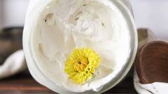 Beauty Tips : कमी पैशात घरीच तयार करा 5 प्रकारचे Homemade सनस्क्रीन! त्वचा चमकेल चांदीसारखी..