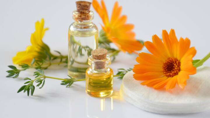 Inputs by: Ridhima Kansal, Director, Rosemoore (Image Source: Canva)