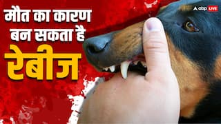 Rabies: रेबीज वाले कुत्ते के काटने पर कितने घंटे में हो जाती है मौत? बच सकती है जान अगर इलाज में ना की जाए देरी
