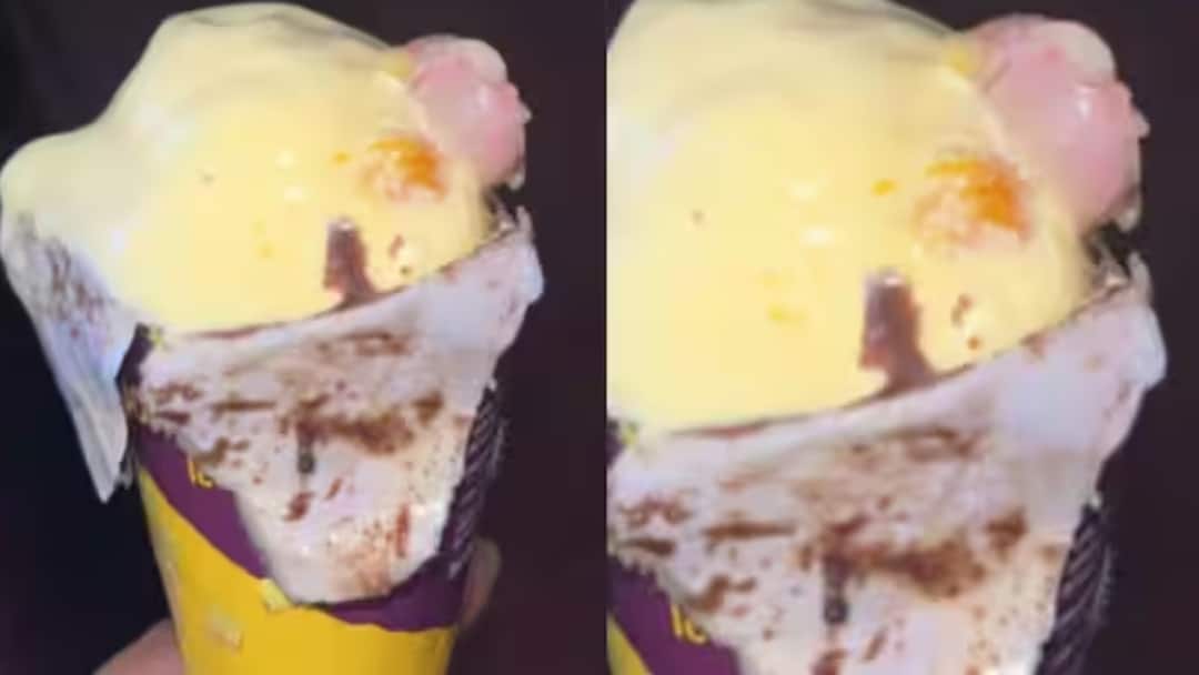 Human Finger In Icecream : கோன் ஐஸ்க்ரீமுக்குள் மனித விரல்.. ஆன்லைன் ஆர்டரால் அதிர்ந்த பெண்.. தீவிர விசாரணை