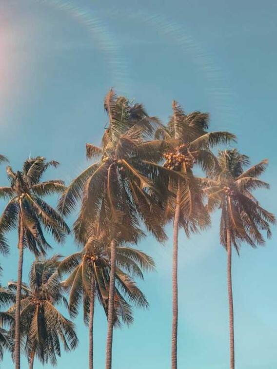 क्या होती है हीटवेव? जानें कितनी खतरनाक