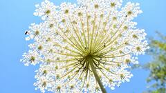 Mental health Tips:மூட் ஸ்விங்ஸா.. எப்படி சமாளிக்கணும்? சில டிப்ஸ் இதோ!