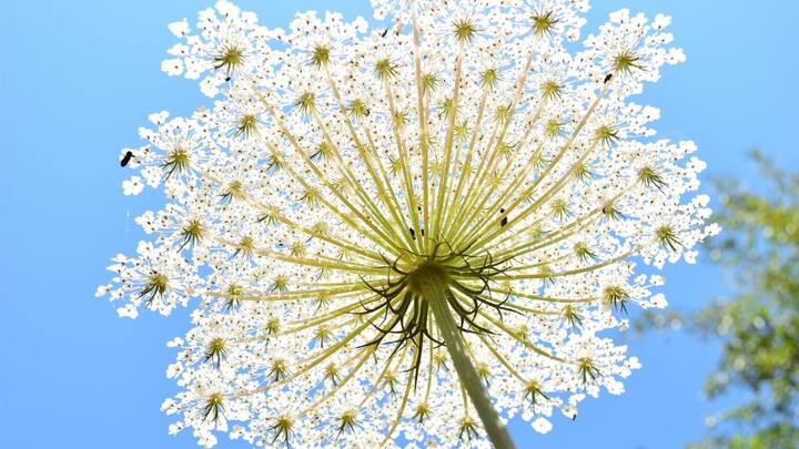 வைட்டமின் D மற்றும் B12 அளவைச் சரிபார்த்துக்கொள்ளுங்கள். உங்கள் மனநிலையை உடனடியாக எனர்ஜெட்டிக் ஆக்கிக்கொள்ள உங்கள் நண்பர்களுடன் தொடர்ந்து இணைந்திருக்க மறக்காதீர்கள்.