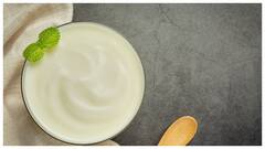 गर्मियों में इस तरह से दही को फ्रिज में करें स्टोर, कभी नहीं आएगी खट्टास, हमेशा रहेगा ताजा