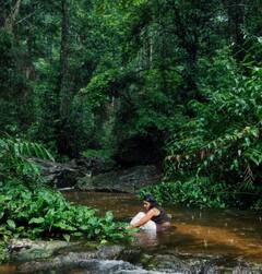 Nimisha Sajayan : மலர்கள் கேட்டேன்.. வனமே தந்தனை! காட்டிற்குள் போட்டோஷூட் செய்த நிமிஷா சஜயன்!