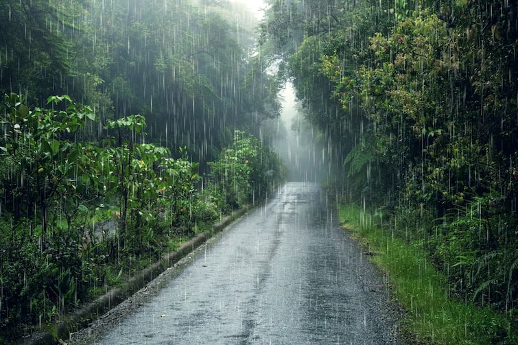 According to the forecast of the Meteorological Department, there will be rain in this district of Gujarat Rain Forecast:  રાજ્યના આ જિલ્લામાં 14થી 19 જૂન સુધી હળવાથી મધ્યમ વરસાદની આગાહી
