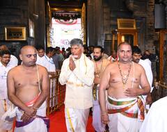 IN PICS: AP CM Chandrababu Naidu Worships At Tirupati Temple With Family Members