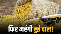 Rajasthan: दाल की कीमतों ने तोड़ी आम आदमी की कमर, चुनाव होते ही दामों में भारी उछाल