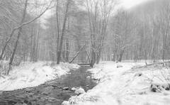 ਇਸ ਜਗ੍ਹਾ ਨੂੰ ਕਿਹਾ ਜਾਂਦਾ ਭਾਰਤ ਦਾ ਠੰਡਾ ਰੇਗਿਸਤਾਨ, ਗਰਮੀਆਂ 'ਚ ਹੁੰਦਾ ਹੈ ਅਜਿਹਾ ਨਜ਼ਾਰਾ, ਦੇਖੋ ਤਸਵੀਰਾਂ