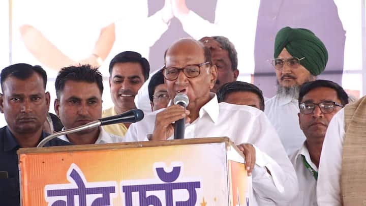 राष्ट्रवादी काँग्रेस पार्टी शरदचंद्र पवार पक्षाचे अध्यक्ष शरद पवार हे राज्यसभेवर कार्यरत आहेत. शरद पवारांच्या खासदारकीची टर्म एप्रिल 2026 ला संपणार आहे. राष्ट्रवादी काँग्रेस पार्टी शरदचंद्र पवार पक्षाचे जिल्ह्यात एकूण 3 खासदार आहेत.