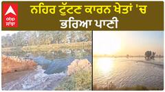 Canal Broke| ਨਹਿਰ ਟੁੱਟਣ ਕਾਰਨ ਖੇਤਾਂ 'ਚ ਭਰਿਆ ਪਾਣੀ