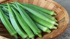 ਧਿਆਨ ਦਿਓ! ਇਨ੍ਹਾਂ 5 ਬਿਮਾਰੀਆਂ 'ਚ ਭੁੱਲ ਕੇ ਵੀ ਨਾ ਖਾਓ ਭਿੰਡੀ, ਨਹੀਂ ਤਾਂ ਸਿਹਤ ਨੂੰ ਝੱਲਣੇ ਪੈਣੇ ਇਹ ਨੁਕਸਾਨ