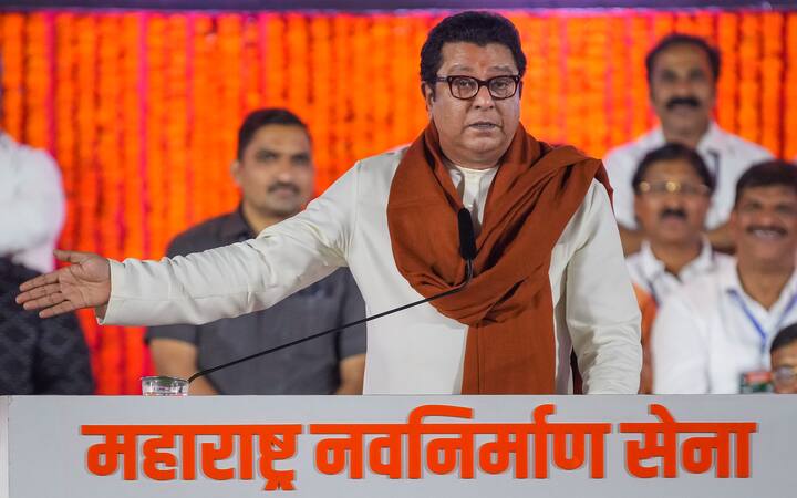 200 ते 225 विधानसभा जागांवर आपण तयारी करत आहोत. महायुती किंवा महाविकास आघाडी यांच्यातच काही जागावाटपचं ठरत नाही, मी कोणाकडे जागा मागायला जाणार नाही, असेही राज ठाकरेंनी सांगितले.