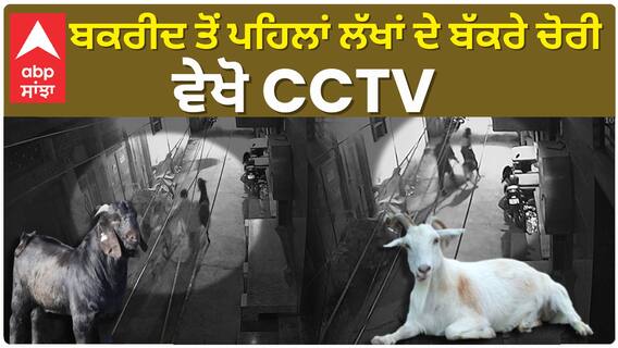OMG ਬਕਰੀਦ ਤੋਂ ਪਹਿਲਾਂ ਲੱਖਾਂ ਦੇ ਬੱਕਰੇ ਚੋਰੀ, ਵੇਖੋ CCTV