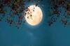 Jyeshtha Purnima 2024 : ज्येष्ठ पौर्णिमेला 'या' राशींना मिळणार कुबेराचा लाभ, देवी लक्ष्मीसह चंद्राचीही असणार विशेष कृपा