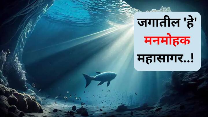 Travel : जगात एकूण पाच महासागर आहेत. प्रत्येक महासागराचे स्वतःचे वेगळे स्थान आणि महत्त्व आहे. जाणून घ्या जगातील या महासागरांबद्दल.