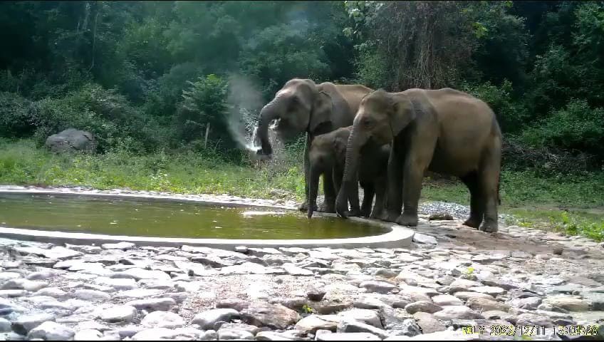 வனவிலங்குகள் ஊருக்குள் வரவிடாமல் செக் வைத்த வருண பகவான்; தருமபுரி விவசாயிகள் மகிழ்ச்சி