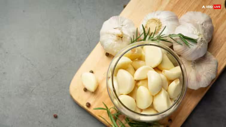 lifestyle food Benefits of Garlic Chutney Homemade Easy and Delicious Garlic Chutney Read Article In Gujarati Garlic Chutney:  જો તમે પણ લસણને સીધું ખાવાથી અચકાતા હોવ તો આ રીતે કરો તેનું સેવન
