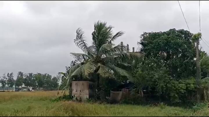গতকাল দক্ষিণবঙ্গের কয়েকটি জেলার পাশাপাশি উত্তরের উপরের দিকের ৫ জেলায় ভারী বৃষ্টি হয়েছে। বৃষ্টির পূর্বাভাস রয়েছে আজও। ভিজতে পারে মালদা এবং দক্ষিণ দিনাজপুর।