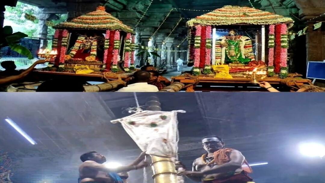 பிரசித்தி பெற்ற நெல்லையப்பர் ஆனிப்பெருந்தேர்திருவிழா கொடியேற்றத்துடன் தொடங்கியது