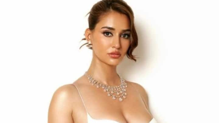 Disha Patani Birthday: दिशा पाटनी इंडस्ट्री की बेहतरीन अदाकारा हैं. वह आज अपना बर्थडे मना रही हैं. इस खास मौके पर हम आपको उनकी लव लाइफ से रूबरू कराने जा रहे हैं.