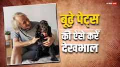 बूढ़ा हो जाए पालतू कुत्ता या बिल्ली तो कैसे करें देखभाल? आपके बेहद काम आएंगे ये टिप्स