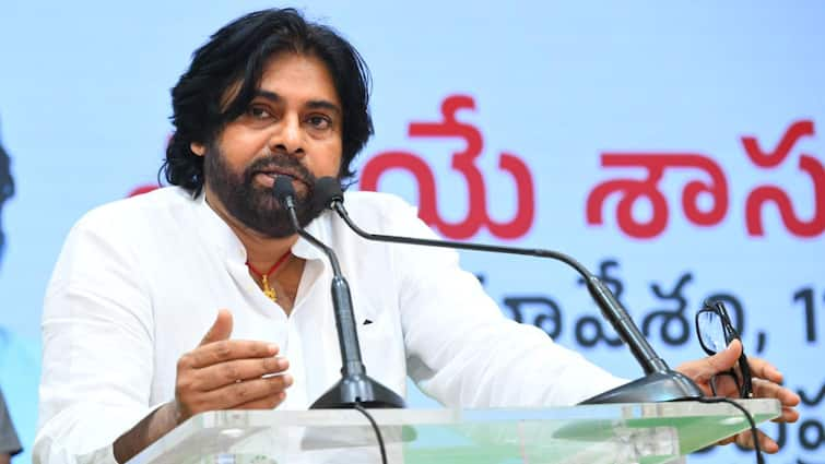 Janasena chief Pawan Kalyan educational qualifications and place of birth official details here Minister Pawan Kalyan: పవన్ కల్యాణ్‌ చదివింది పదో తరగతి- పుట్టింది చీరాలలో - ఇదిగో క్లారిటీ!