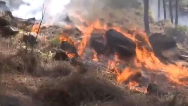 Forest Fires Jammu Kashmir Continue To Rage Rajouri Udhampur Forest Fires In Jammu & Kashmir Continue To Rage In Rajouri, Udhampur