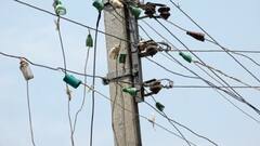 पीवीवीएनएल अफसरों ने पकड़े 961 बिजली चोर, 14 जिलों में ताबड़तोड़ कार्रवाई