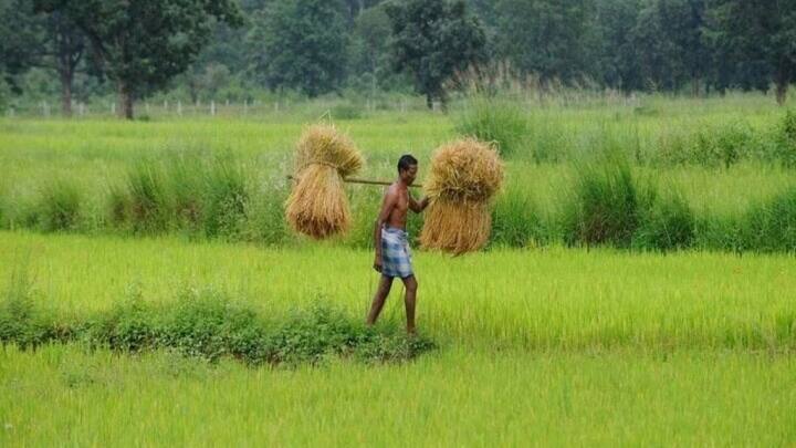 ऐसी ही एक योजना साल 2018 में शुरू की गई थी. जिसका नाम है किसान सम्मान निधि योजना इसके तहत किसानों को सालाना 6 हजार रुपये दिए जाते हैं. दो-दो हजार की तीन किस्तें चार-चार महीनों के अंतराल पर किसानों को दी जाती है. डीबीटी माध्यम से पैसे किसानों को सीधे अकाउंट में मिलते हैं.