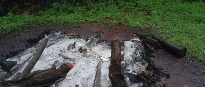 स्मशानभूमीच्या बाजूला अडगळीत ऐनाच्या झाडावर काळंबा मधमाशांचं पोळं होतं. धुराचा लोळ त्या मधमाशांच्या पोळाकडे जाताच मधमाशा आक्रमक झाल्या.