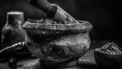 शिलाजीत में ऐसा क्या होता है, जिससे शरीर को मिलती है बेपनाह ताकत, क्या आपको पता है?