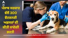 Punjab News: ਪੰਜਾਬ ਸਰਕਾਰ ਵੱਲੋਂ ਬੰਪਰ ਭਰਤੀ ਦਾ ਐਲਾਨ, ਜਲਦ ਕਰੇਗੀ 300 ਵੈਟਰਨਰੀ ਅਫ਼ਸਰਾਂ ਦੀ ਭਰਤੀ