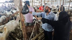 Bakra Eid: बकरीद पर ‘अल्लाह’ और ‘मोहम्मद’ का नाम लिखे बकरों की भारी डिमांड, एक बकरे की कीमत 10 लाख रुपये