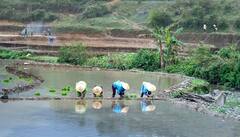 આ તારીખે આવશે પીએમ કિસાન યોજનાના પૈસા, આ રીતે ચેક કરો પોતાનું સ્ટેટ્સ