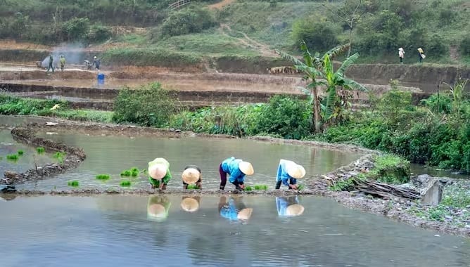 આવી જ એક યોજના વર્ષ 2018માં શરૂ કરવામાં આવી હતી. જેનું નામ કિસાન સન્માન નિધિ યોજના છે, આ અંતર્ગત ખેડૂતોને વાર્ષિક 6 હજાર રૂપિયા આપવામાં આવે છે. ચાર મહિનાના અંતરે ખેડૂતોને 2,000 રૂપિયાના ત્રણ હપ્તા આપવામાં આવે છે. DBT દ્વારા ખેડૂતોને સીધા તેમના ખાતામાં પૈસા મળે છે.
