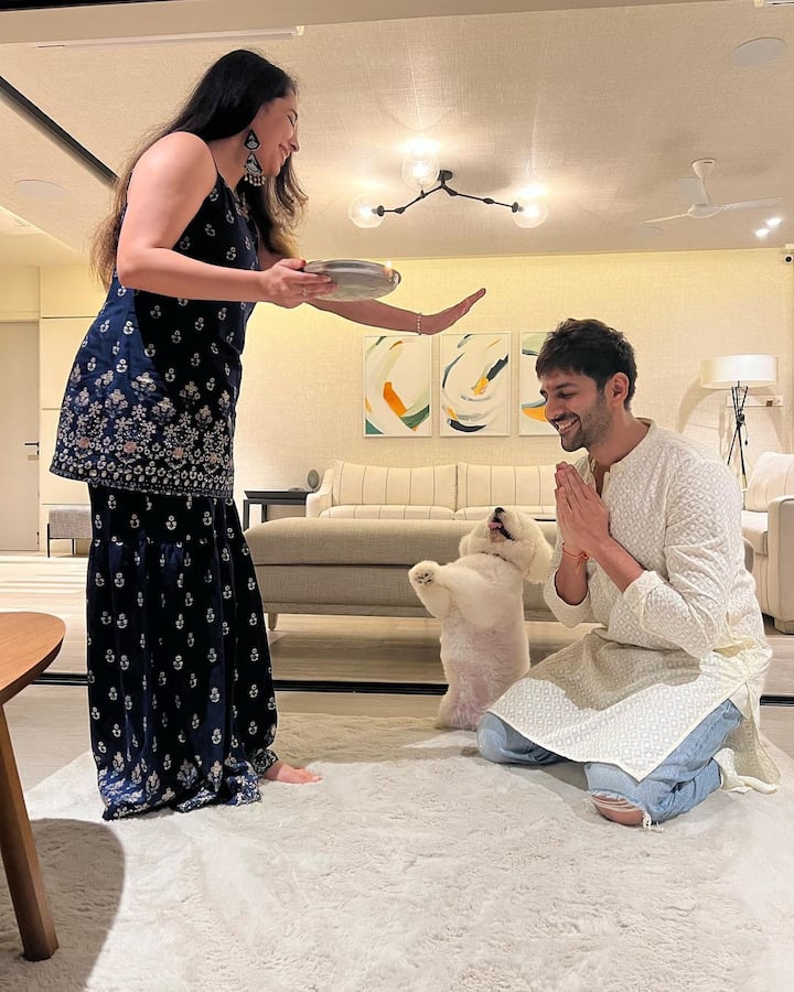 कार्तिक का ये आलीशान घर व्हाइट थीम पर डेकोरेटिड है. ये घर का लिविंग एरिया है. जहां व्हाइट सोफे और दीवारों पर खूबसूरत पेंटिंग्स लगी है.